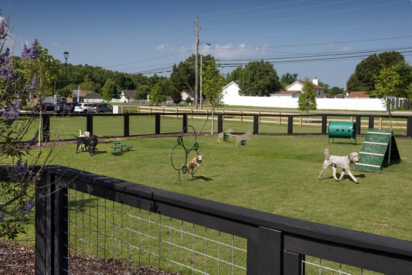 Dog-friendly park with green space at Henry House at Clift Farm Apartments