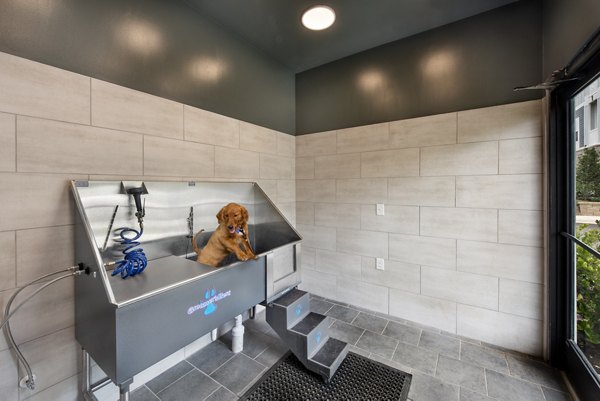 Dog wash station for grooming pets at Henry House at Clift Farm Apartments