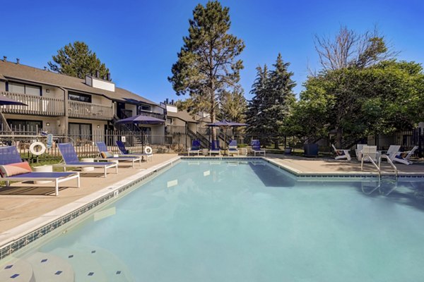 Modern pool with lounge chairs at Shift Apartments, a luxury Greystar property in a vibrant urban location