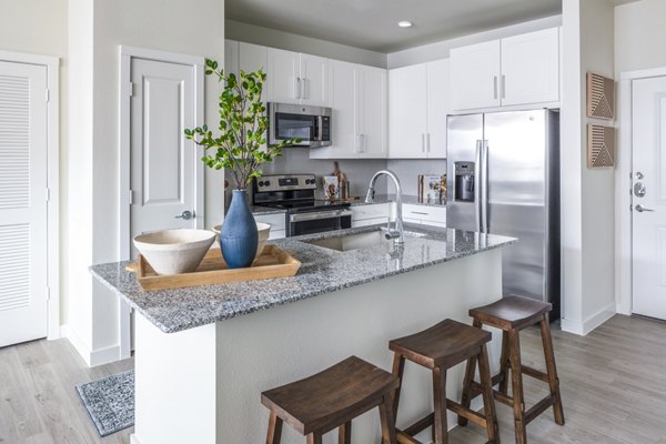 Modern kitchen with stainless steel appliances in Prose Hardy Yards Apartments luxury complex