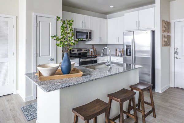 kitchen at Prose Hardy Yards Apartments