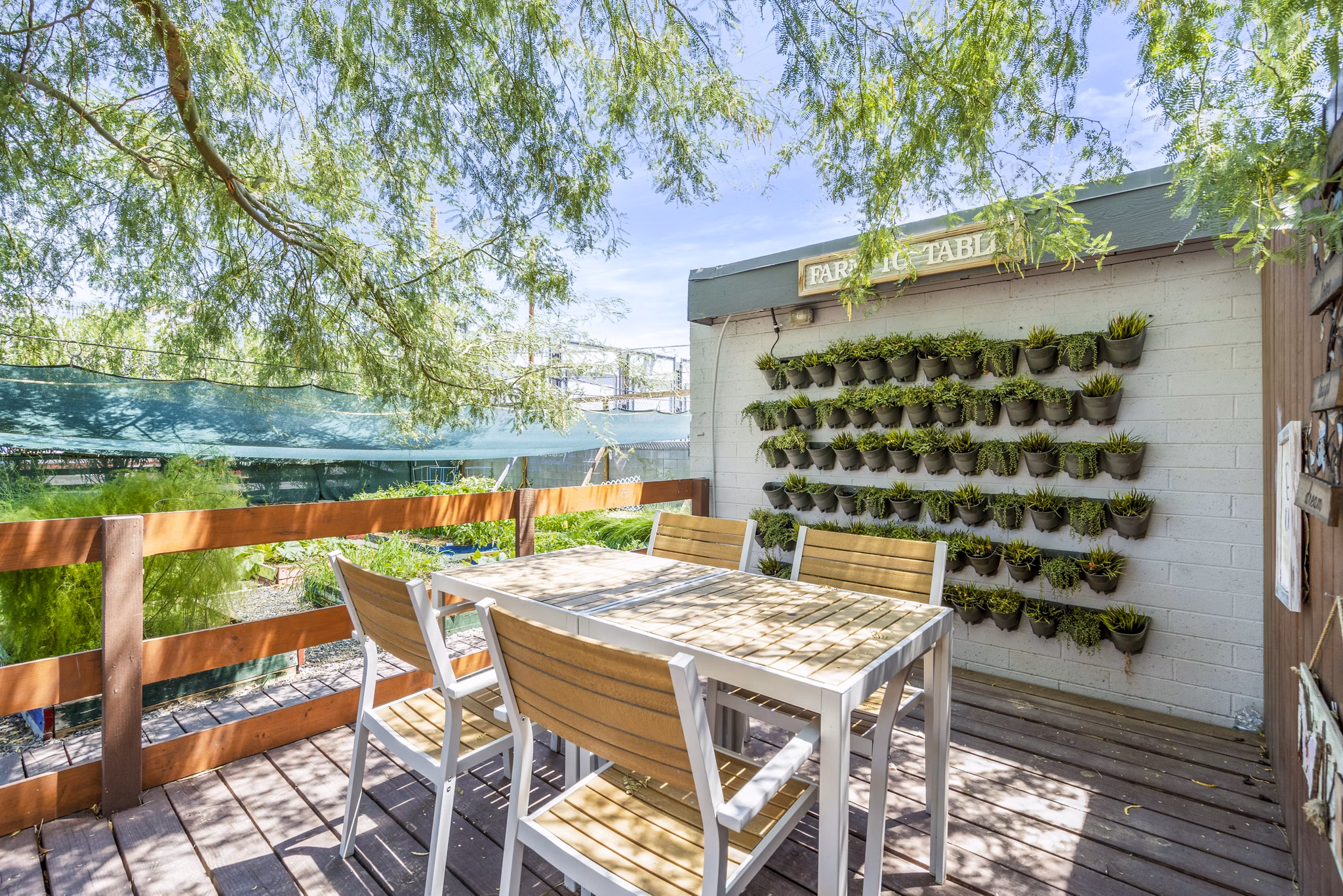 Herb garden in a sunlit courtyard at Crosstown Phoenix West Apartments, offering a serene outdoor space for residents to enjoy