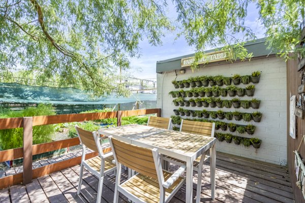 Herb garden in a sunlit courtyard at Crosstown Phoenix West Apartments, offering a serene outdoor space for residents to enjoy