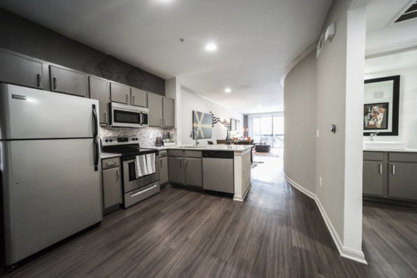 Modern kitchen with stainless steel appliances in Muse at SoCo Apartments Ideal for luxury living in a stylish Greystar community