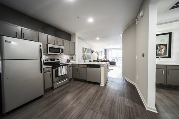 kitchen at Muse at SoCo Apartments