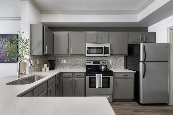 Modern kitchen with sleek countertops and stainless steel appliances at Muse at SoCo Apartments