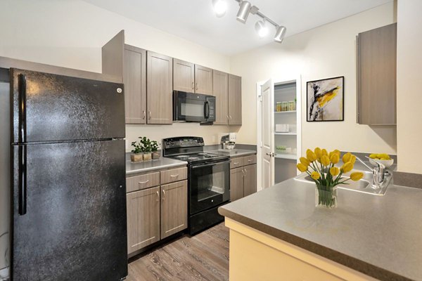 Modern kitchen featuring stainless steel appliances at Hays Park Apartments