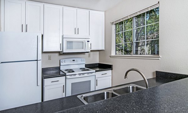Modern kitchen with stainless steel appliances in Wood Creek Apartments