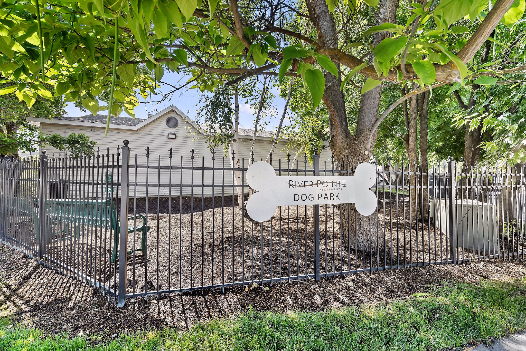 dog park at River Pointe Premier Apartments