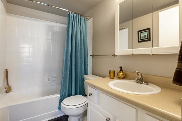 Modern bathroom with sleek fixtures in Vue at Spring Creek luxury apartments