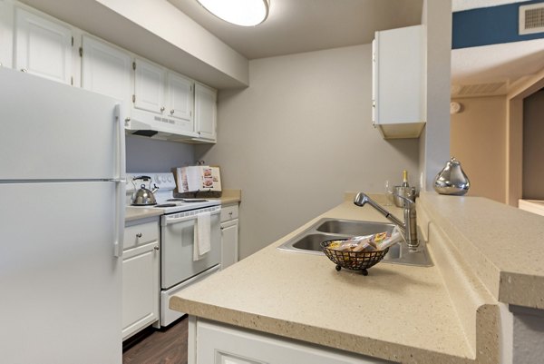 Vue at Spring Creek Apartments: Modern kitchen featuring stainless steel appliances and sleek countertops