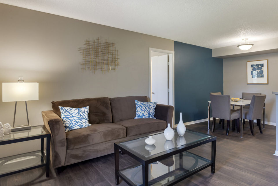 Modern living room with elegant decor in Vue at Spring Creek Apartments, offering luxury living spaces