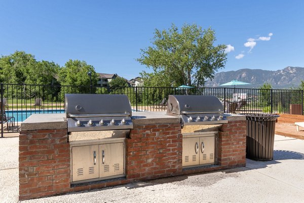 grill area at Vue at Spring Creek Apartments