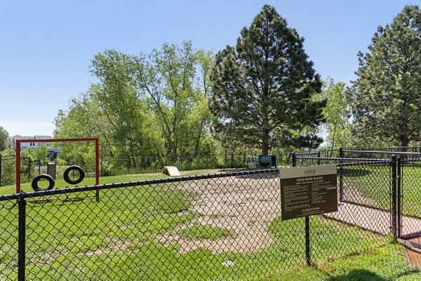 Vue at Spring Creek Apartments: Spacious dog park featuring agility equipment and green space