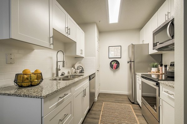 Modern kitchen with stainless steel appliances in Monarch Meadows Apartments