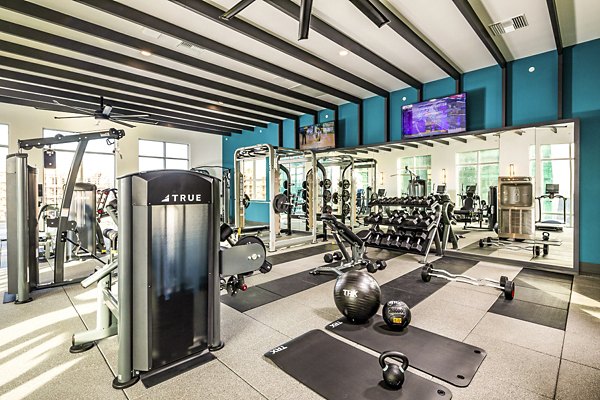 Modern fitness center with state-of-the-art equipment at The Residences at Cota Vera Apartments