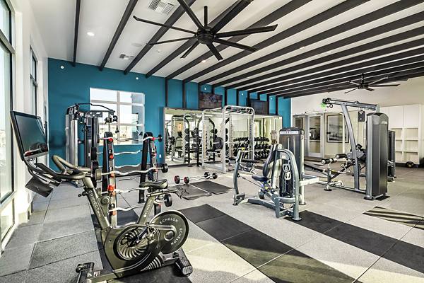 fitness center at The Residences at Cota Vera Apartments