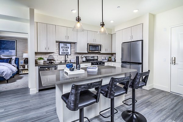 Modern kitchen with granite countertops and stainless steel appliances at The Residences at Cota Vera Apartments Luxury living at its finest