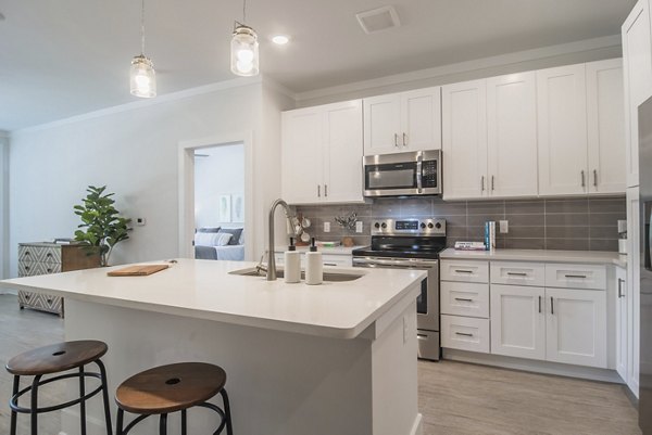 Modern kitchen with granite countertops and stainless steel appliances in The Heron at River Island Apartments