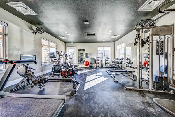 Fully-equipped fitness center at The Bend at Highland Meadows Apartments with modern exercise machines