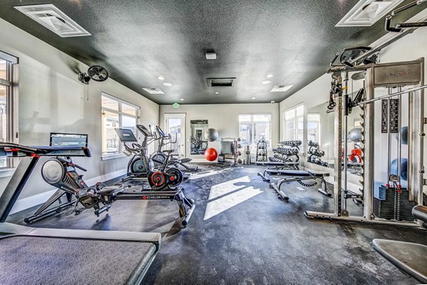 fitness center at The Bend at Highland Meadows Apartments