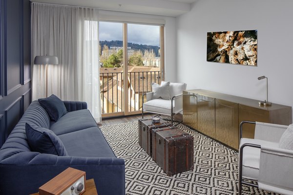 Cozy living room with contemporary furnishings in The Fitz Apartments, a Greystar luxury property