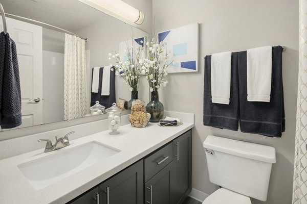 Bathroom featuring modern fixtures and sleek design in Skyview 3322 Apartments
