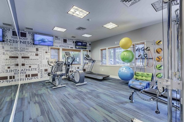 Modern fitness center with state-of-the-art equipment at Skyview 3322 Apartments offering luxury workout space for residents