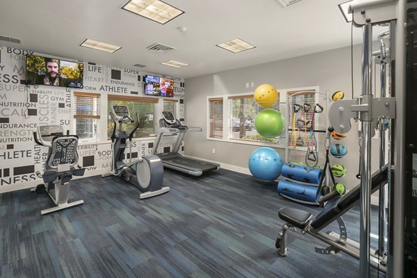 State-of-the-art fitness center at Skyview 3322 Apartments with modern equipment and spacious workout areas