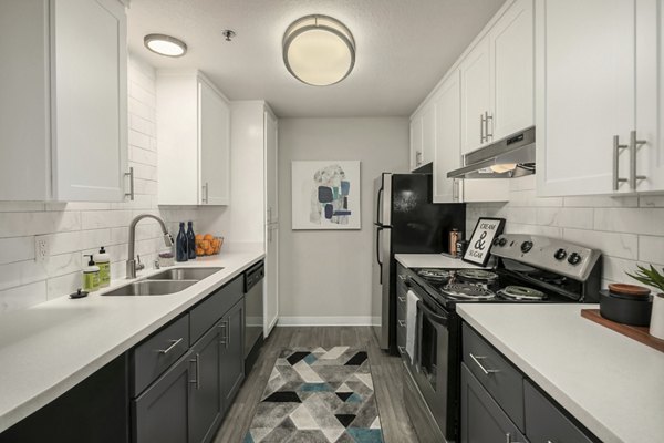 Modern kitchen with granite countertops and stainless steel appliances at Skyview 3322 Apartments