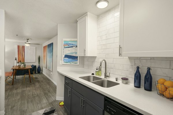 Skyview 3322 Apartments: Modern kitchen with stainless steel appliances and granite countertops