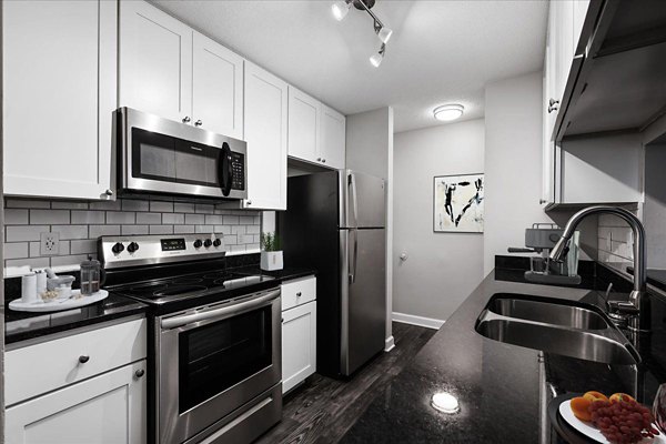 Modern kitchen with stainless steel appliances at North Forest Apartments in premium Greystar community