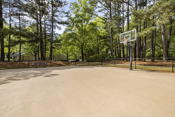 sport court at North Forest Apartments