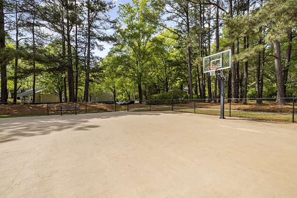 Outdoor sport court perfect for basketball and tennis at North Forest Apartments