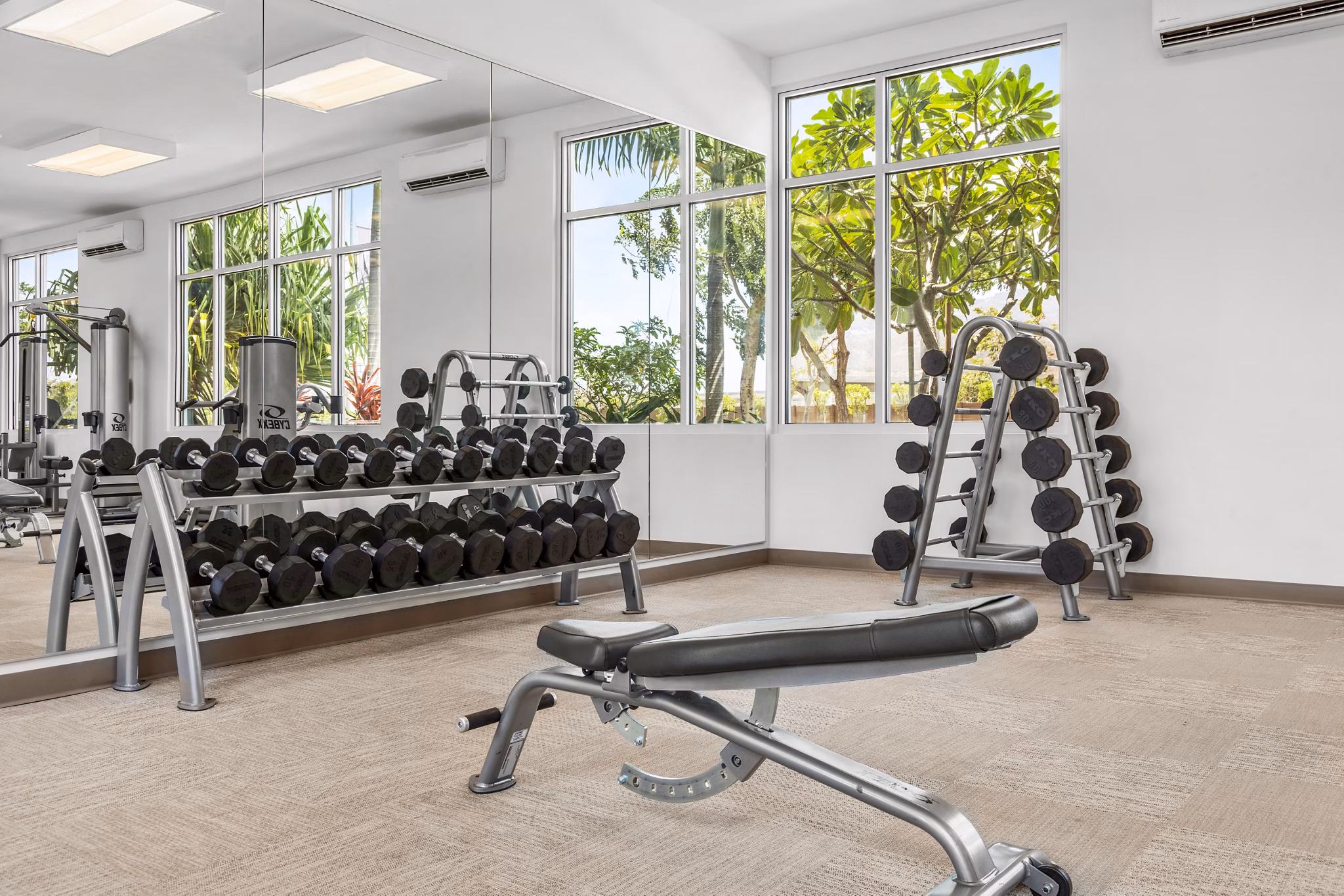 The Element Apartments: State-of-the-art fitness center with modern equipment and spacious workout areas