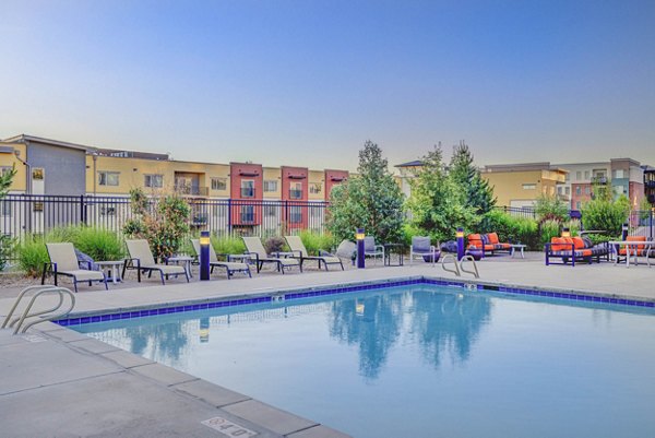 Resort-style pool with lounge chairs at The Calo Apartments luxury community