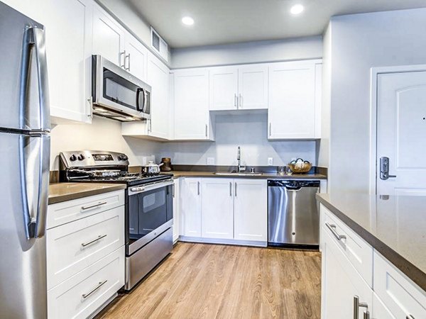 Modern kitchen with stainless steel appliances at Sereno Apartments