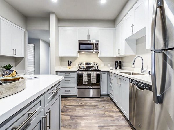 Modern kitchen with stainless steel appliances at Sereno Apartments