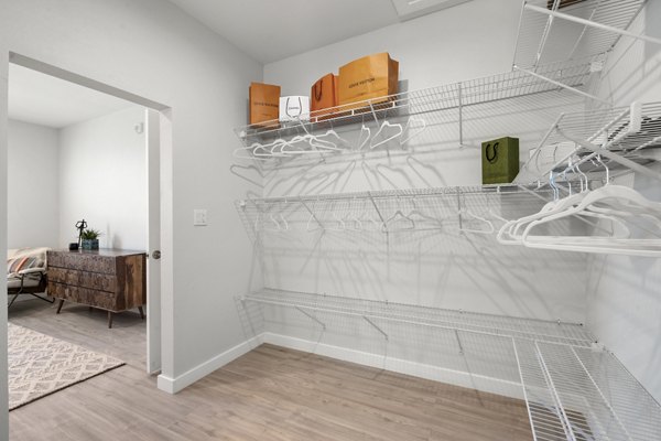 Spacious walk-in closet with ample storage at FLATZ 602 Apartments