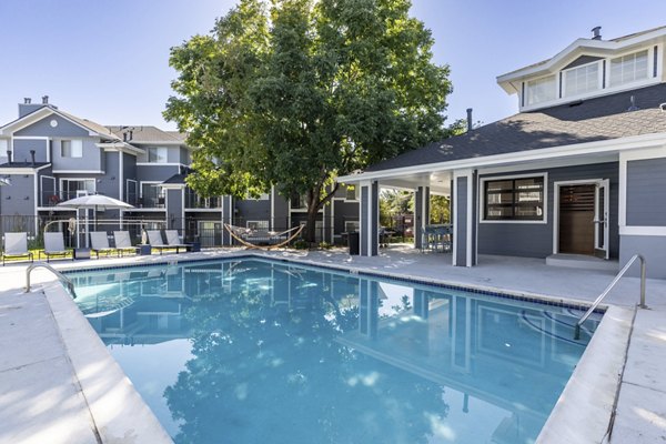 Elegant infinity pool at Union Baseline Apartments with surrounding loungers and palm trees