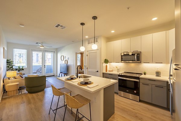 Modern kitchen with stainless steel appliances at Alma Apartments, luxury living by Greystar