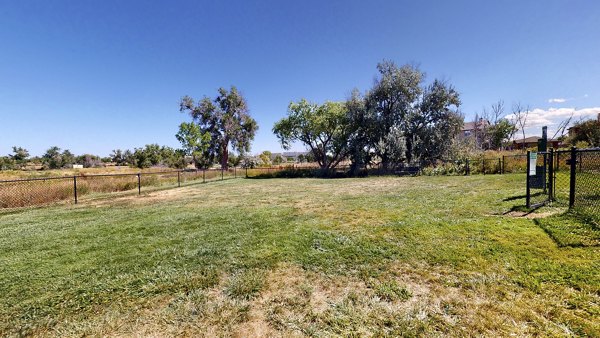 Glen at the Park Apartments: Lush dog park with agility equipment and open space