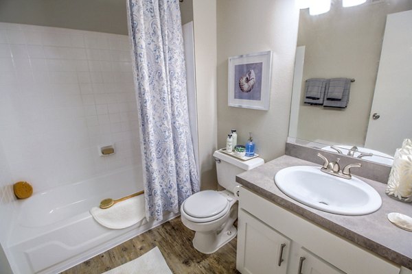 Bathroom featuring modern vanity and fixtures at The Retreat at Vista Lake Apartments