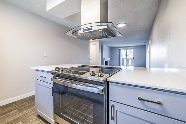 Modern kitchen with stainless steel appliances in 1202 Pearl Apartments