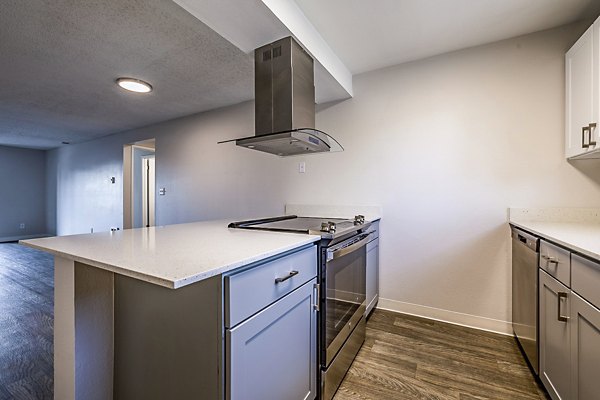 Modern kitchen with stainless steel appliances at 1202 Pearl Apartments in Greystar's elegant living community