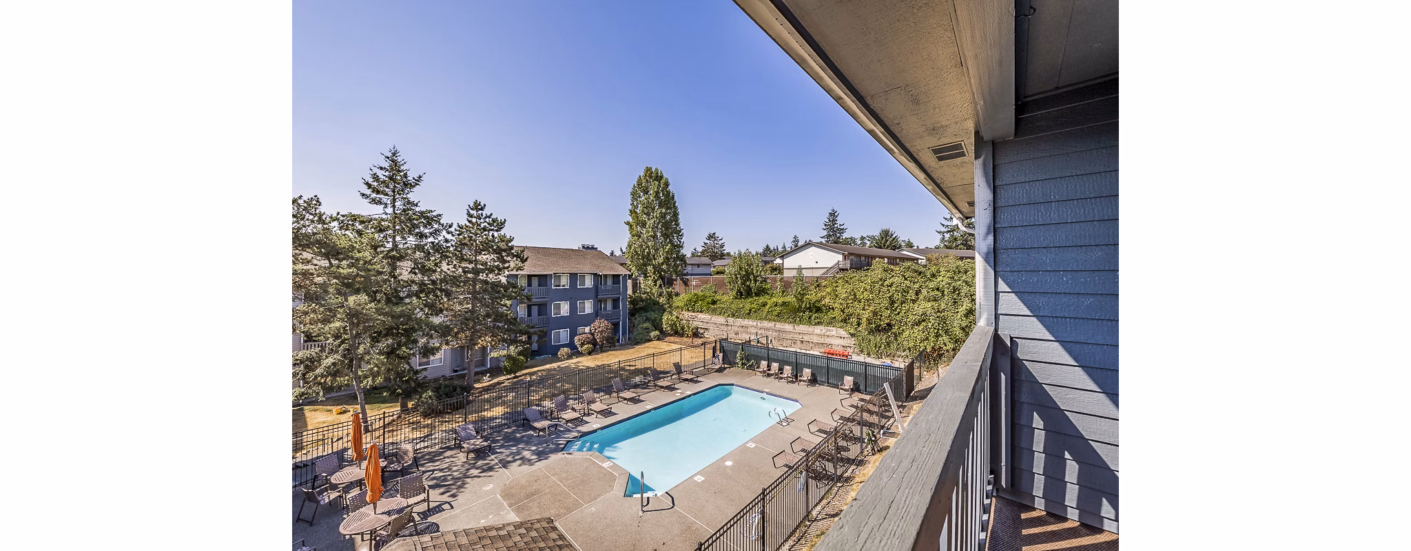 Luxurious pool area at 1202 Pearl Apartments featuring lounge chairs and cabanas