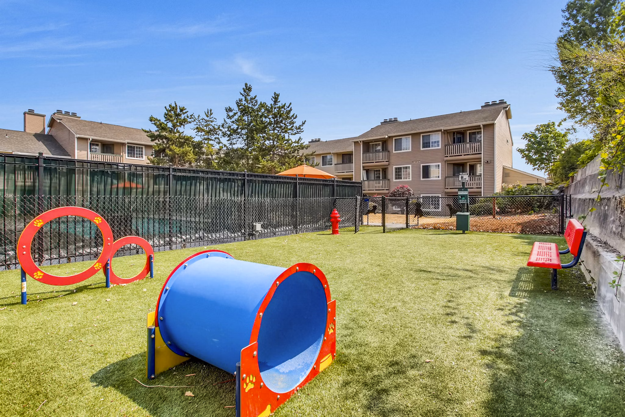 Spacious dog park at 1202 Pearl Apartments, perfect for pet-friendly living and outdoor fun in a luxury community