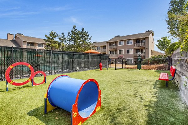 Spacious dog park at 1202 Pearl Apartments, perfect for pet-friendly living and outdoor fun in a luxury community