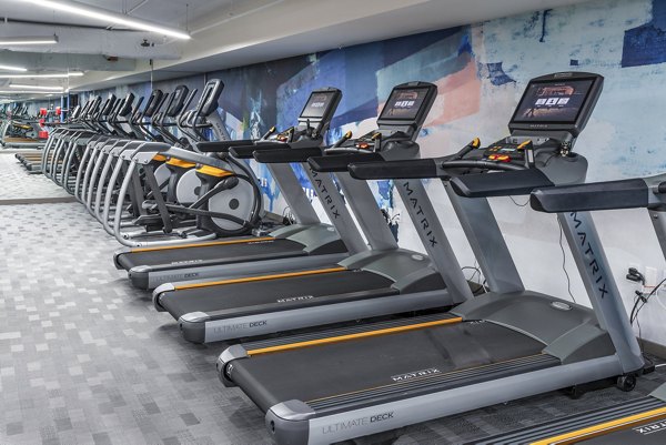 State-of-the-art fitness center with modern equipment at The Barton at Woodley Apartments