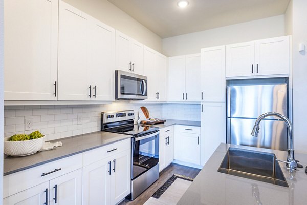 Modern kitchen featuring stainless steel appliances and granite countertops at The Waterview Apartments in Greystar community